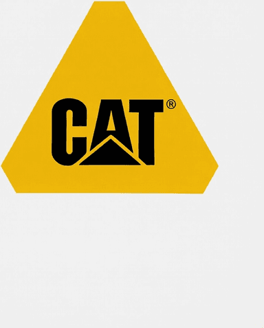 CAT logo